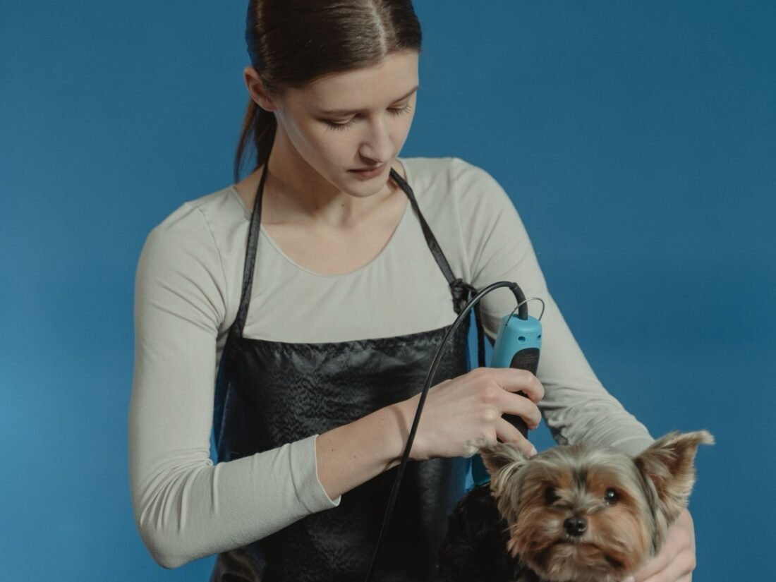 We Treat Every Pup Like <em>Family</em>.