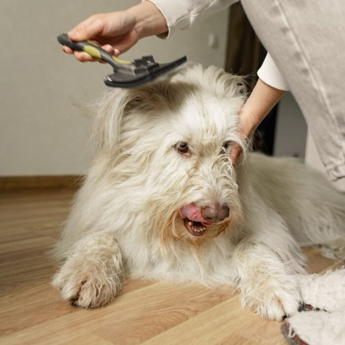 A good brush