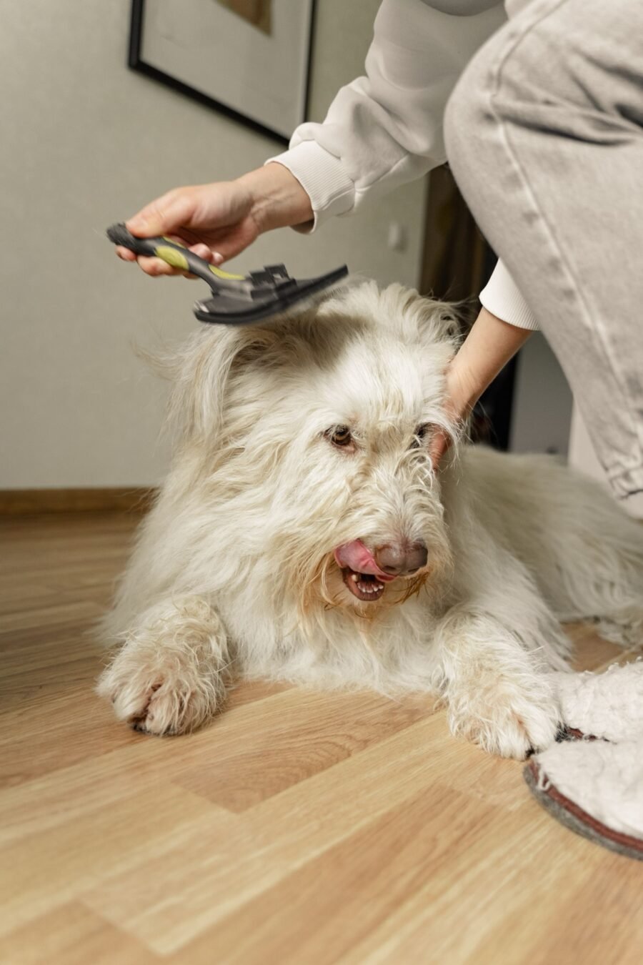 A good brush